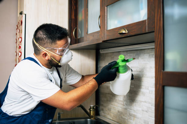 Professional Pest Control in Georgetown, OH