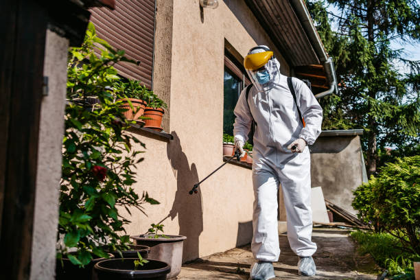 Best Bed Bug Extermination  in Georgetown, OH