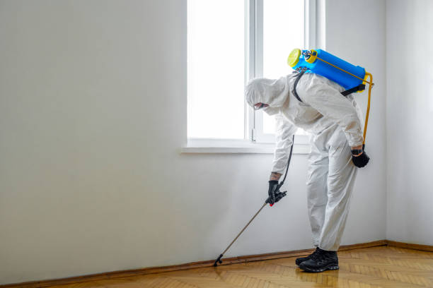 Best Commercial Pest Control Services  in Georgetown, OH