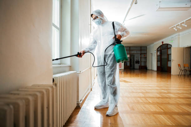 Best Wasp Removal Services  in Georgetown, OH