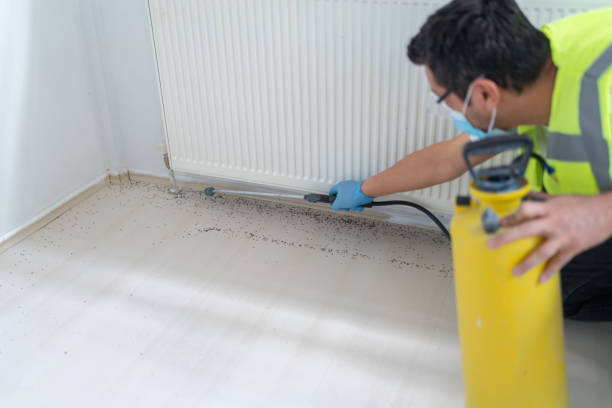 Best Mosquito Control Services  in Georgetown, OH