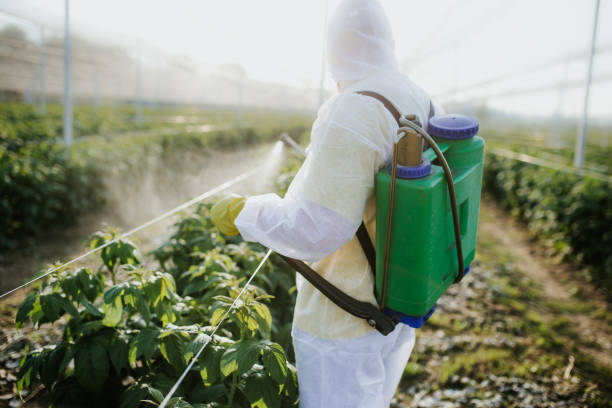 Best Flea Control Services  in Georgetown, OH
